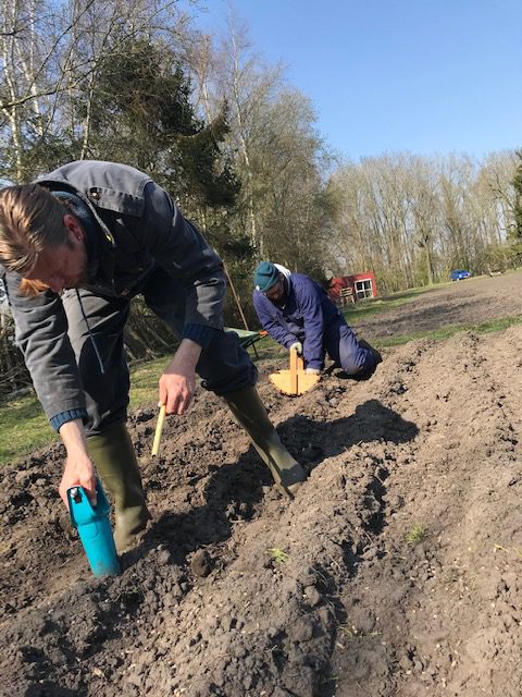 Tuin voor Zwaantje
