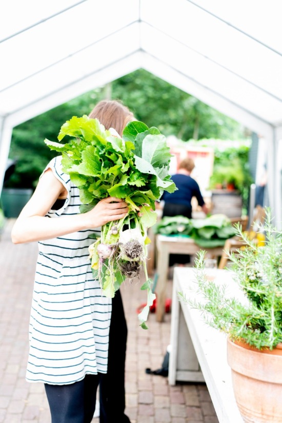 Uit de tuin&hellip; Op het bord Ontdek MiddenGroningen