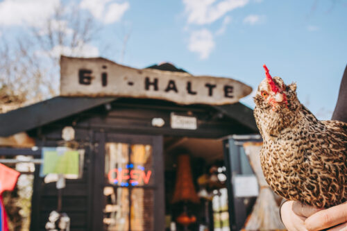 Rustpunt De Ei-Halte - foto Stella Dekker Fotografie